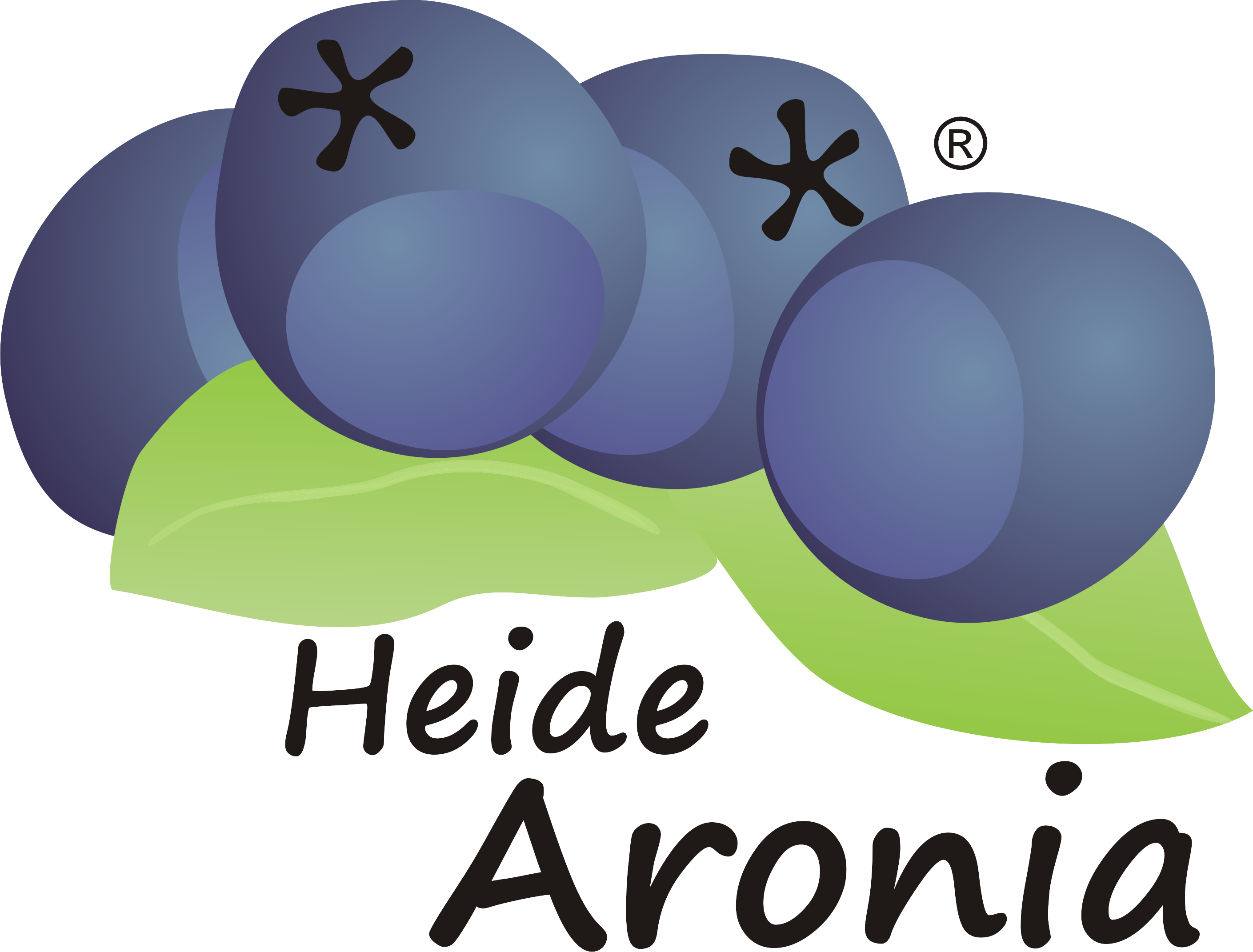 Heide Aronia Anbau Seminare